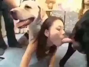 Indomitable Bestiality: Mylene and her Canine Ardor