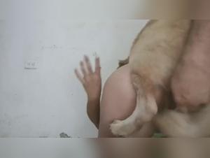 Indomitable zoophilia: wild and perversion desire