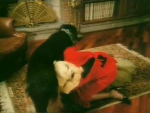 Insanted Hundorgia: Osceno (1987) revealed