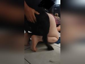 Instinct animal, crazy desire