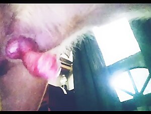 Intense dog training