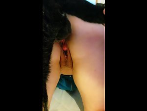 Intense moment with a dog