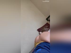 Intensive blonde dog submission