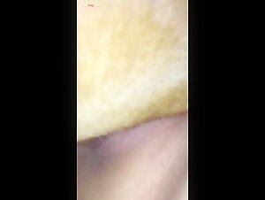 Intimate Cam Sex with a Dog