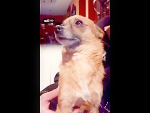 Intimate encounter with a horse in 2004