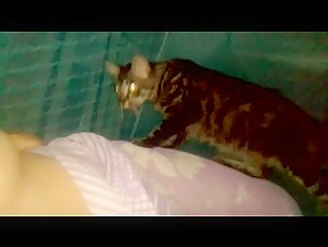 Intimate Moment: Cat and Woman