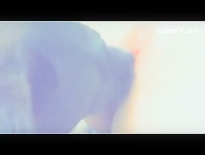 Intimate Moment: female dog and Her Best Friend