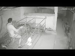 Intimate Moment with a Pig