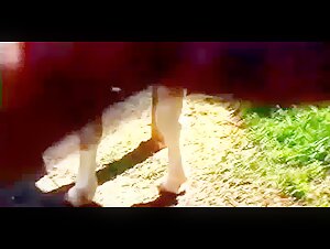 Intimate with a Horse