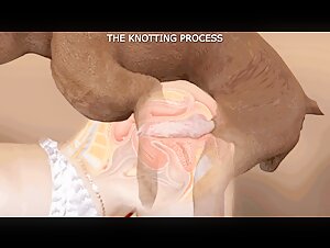 Introduction to Canine Bestiality: Guide for Women (2022)