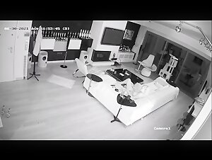 IP Cam - Intimate Dog with Woman