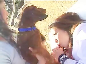 Japanese Girls and their Intimate Moments with their Little Dogs
