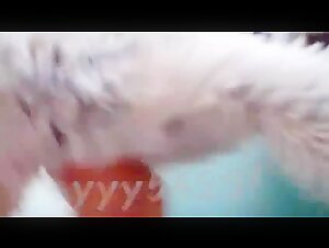 Japanese woman having fun with her dog!?