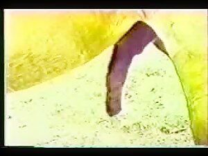 Japanese woman with horse: a bestial encounter