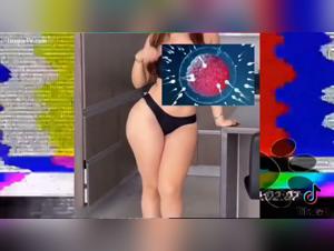 Jerless guide: extreme animal sex