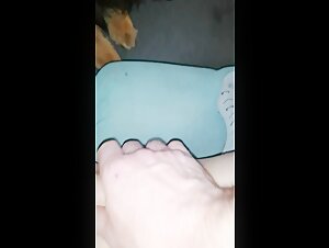 K9 Intimacy: A Forbidden Passion