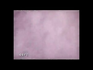 K9 Love Intense & Teens