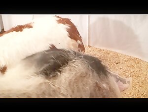 Kerstin and her beastly experience