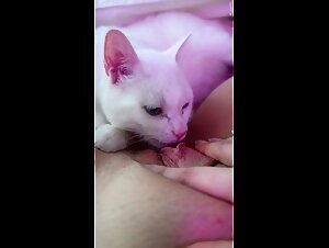 Kitty and Her Canine Companion