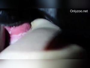 Knots, dog, and female submission