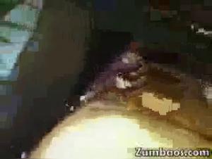 Knotty Boxer: Where Animal Decadence Meets Passion