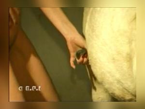 Knotty: Love Lotion - Where Animal Desire Takes Charge