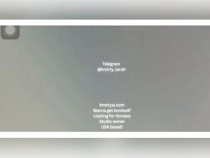 Knottyai: wild canine domination