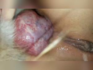 Korean anal canine fetish - Brute ecstasy