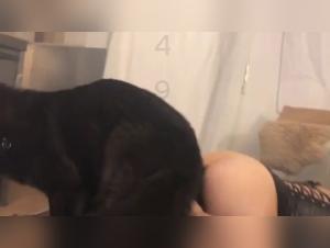 Lady Wolf: Wild Obsession