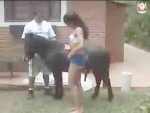 Latin woman having fun with a horse