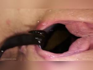 Leeches: Go beyond the limits, explore animal desire