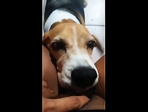 Lesbian Beaissance in Zoological Art: An Encounter with Beasteality