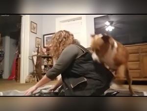 Lesbian dog fuck videos