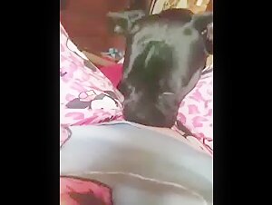 Lick milf: A bestial experience not to be missed