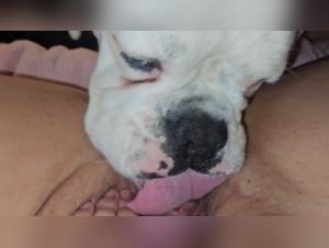 Lick Series: Exploring Forbidden Passions