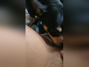 Licking Frenzy: Dog vs Woman