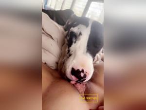 Licking Hardcore: The Wild Glory of the Dog and the Woman