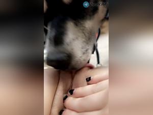 Limited canine debauchery