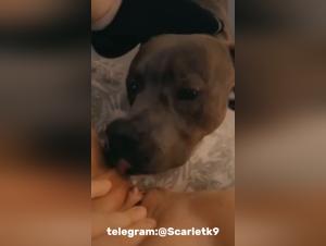 lips and hairs, a morning excitement