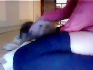 Little dog licks privacy