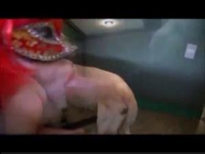 Live Sex Animal: Brutal Desire to Demonstrate