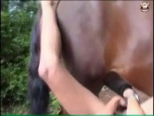 Live Webcam: Bestial Brutality Within Your Reach