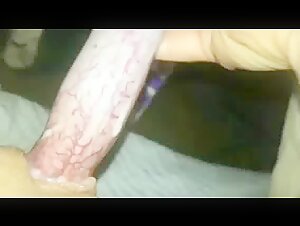 Lonely teenage girl with her dog at home