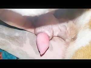 Lucky Boy: An Unexpected Encounter