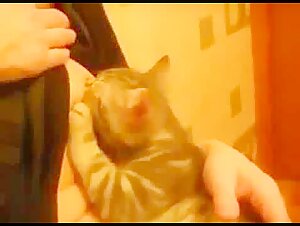 Lucky pussy gets fucked by dog