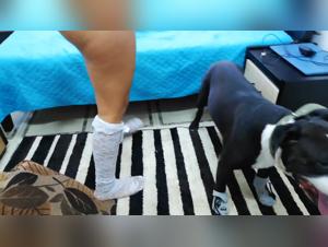 Luisa - Pitbull mom fucking her