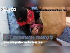 Luna: Wild Eroticism with an Animal Approach