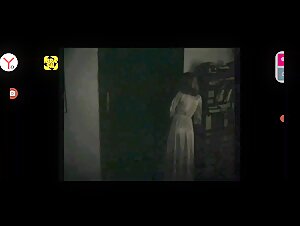 Mainstream Zoo: A Wild and Sensual Experience