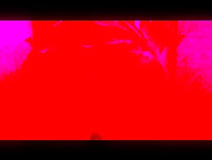 Making love to my dog