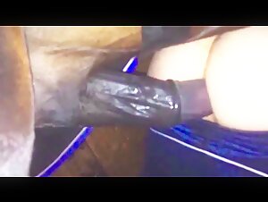 Man and horse: an intense encounter (part 2)